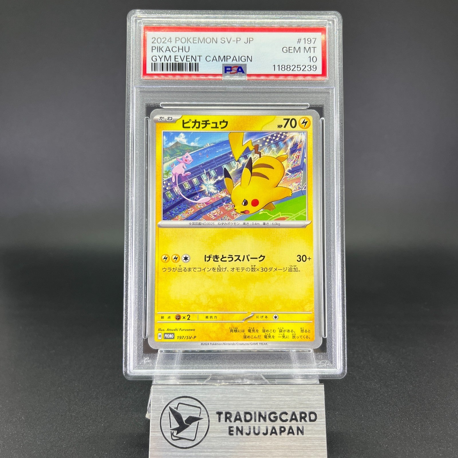 PSA 10 Pikachu 197/SV-P GYM Event Promo 2024 Japanese