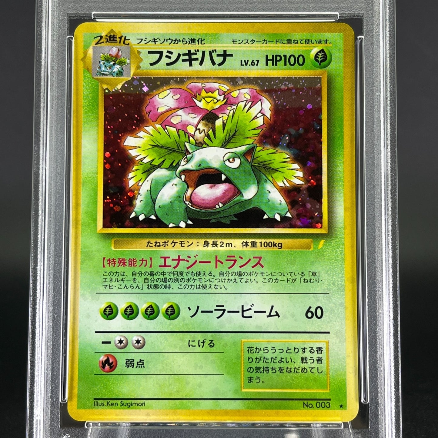 PSA8 Venusaur No.003 CD Promo Holo 1999 Japanese Pokemon Card #1