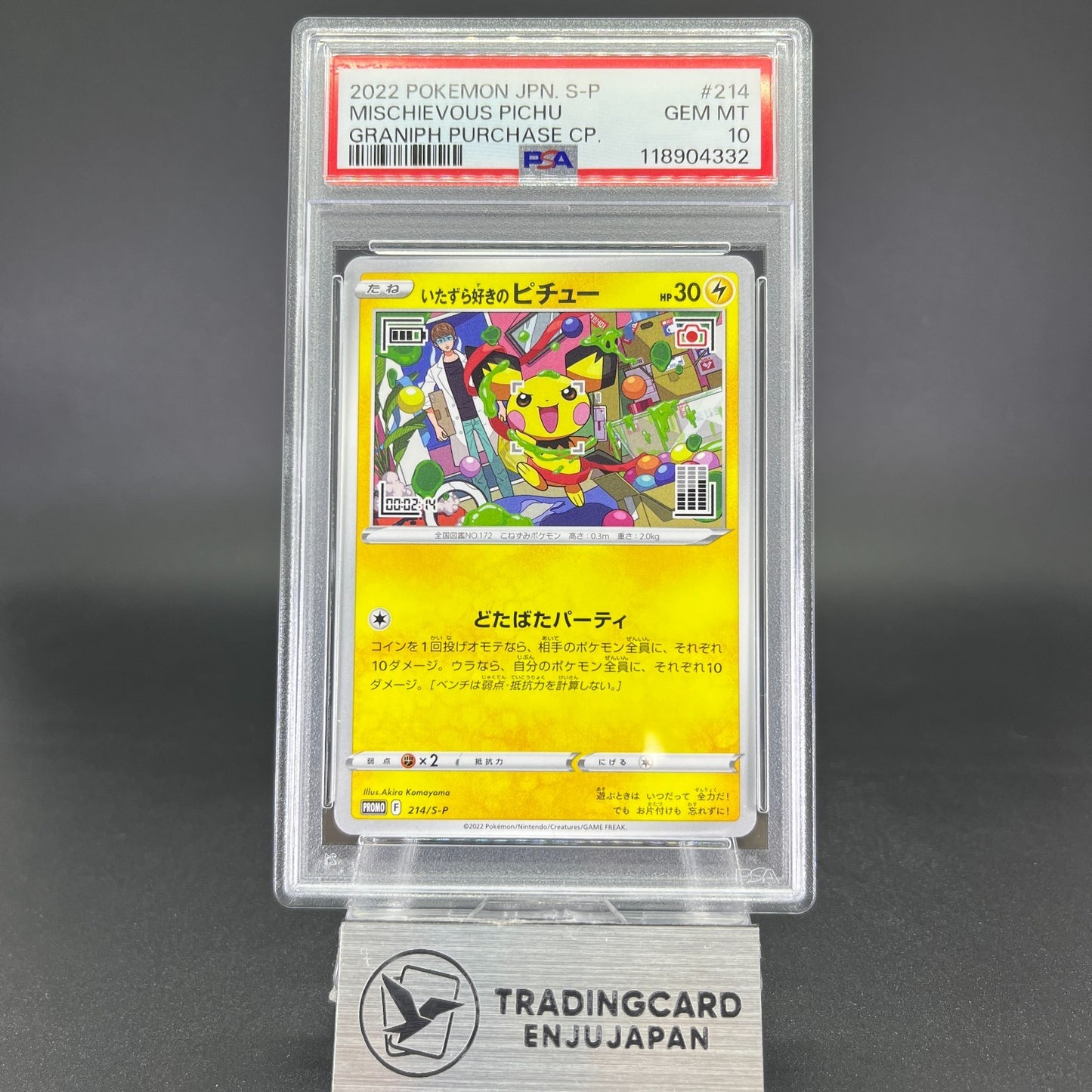 PSA 10 Mischievous Pichu 214/S-P Graniph Promo Japanese Pokemon Card #2