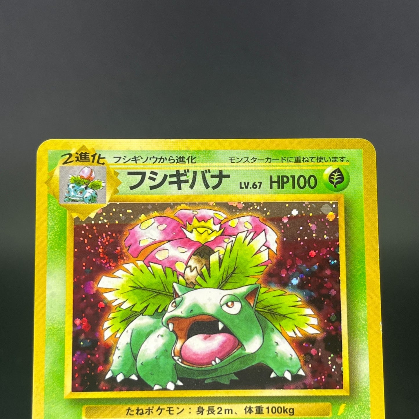 Charizard Blastoise Venusarur CD Promo 1999 MP Japanese Pokemon Card S0059