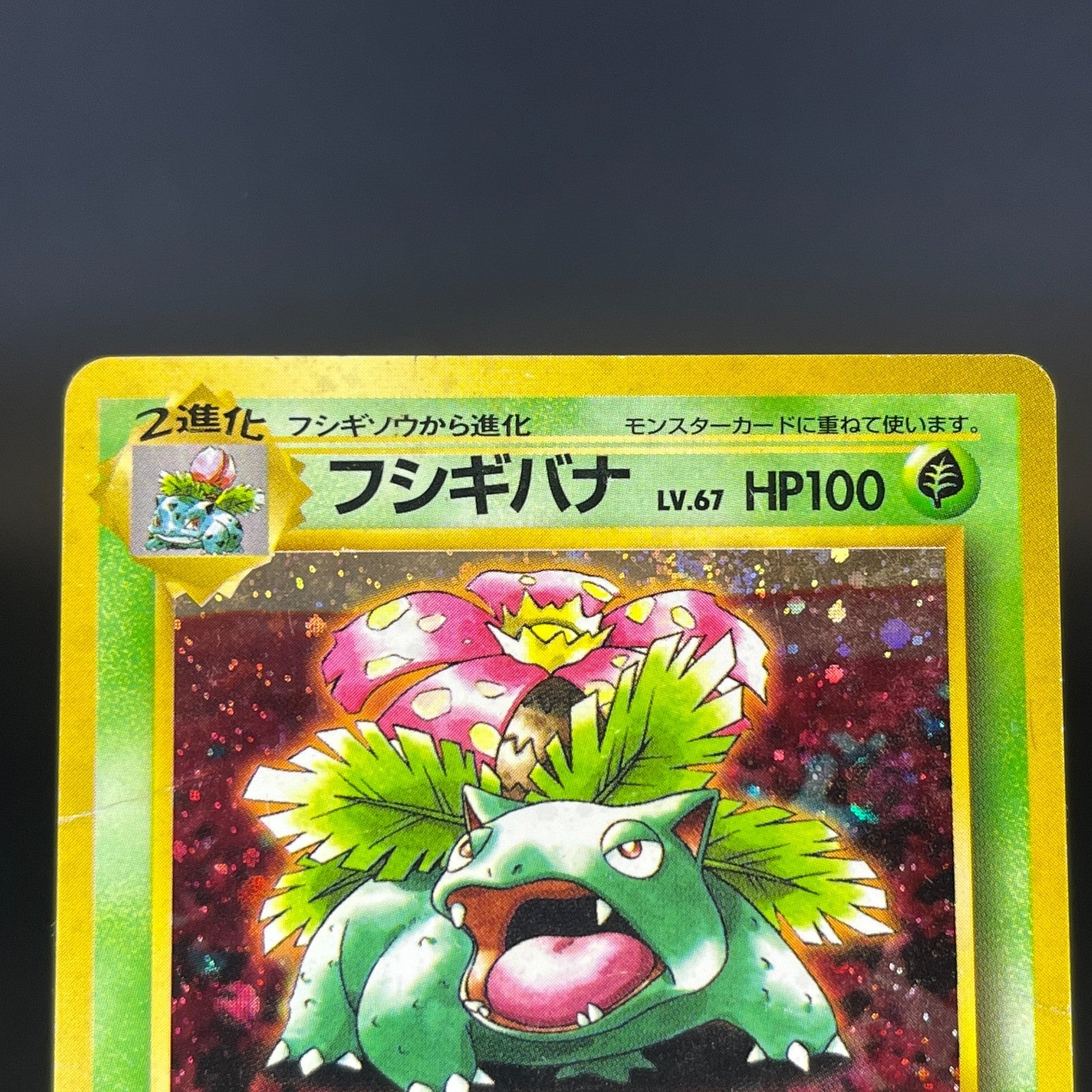 Blastoise Venusarur CD Promo Holo 1999 HP Japanese Pokemon Card S0076