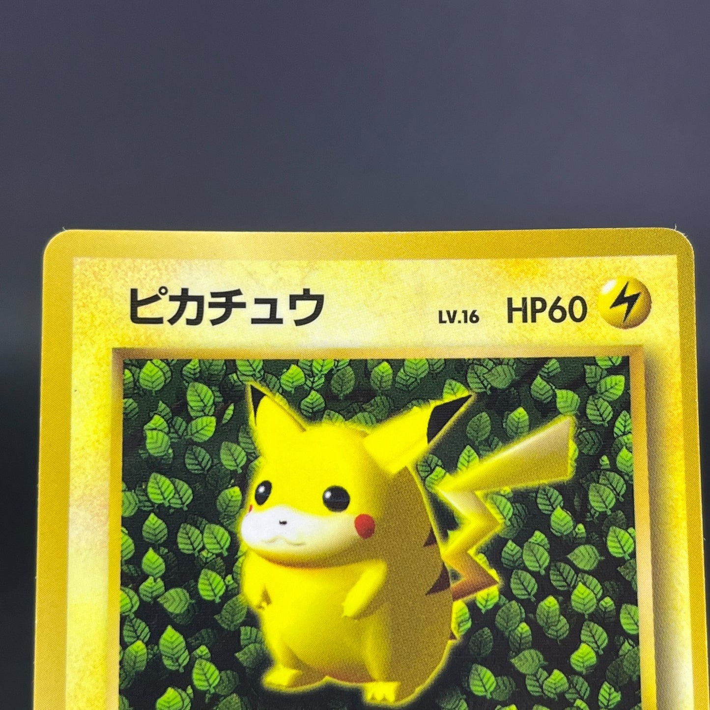 3Card Ivy Pikachu No.025 Corocoro Comics Promo Glossy MP Japanese Pokemon Card