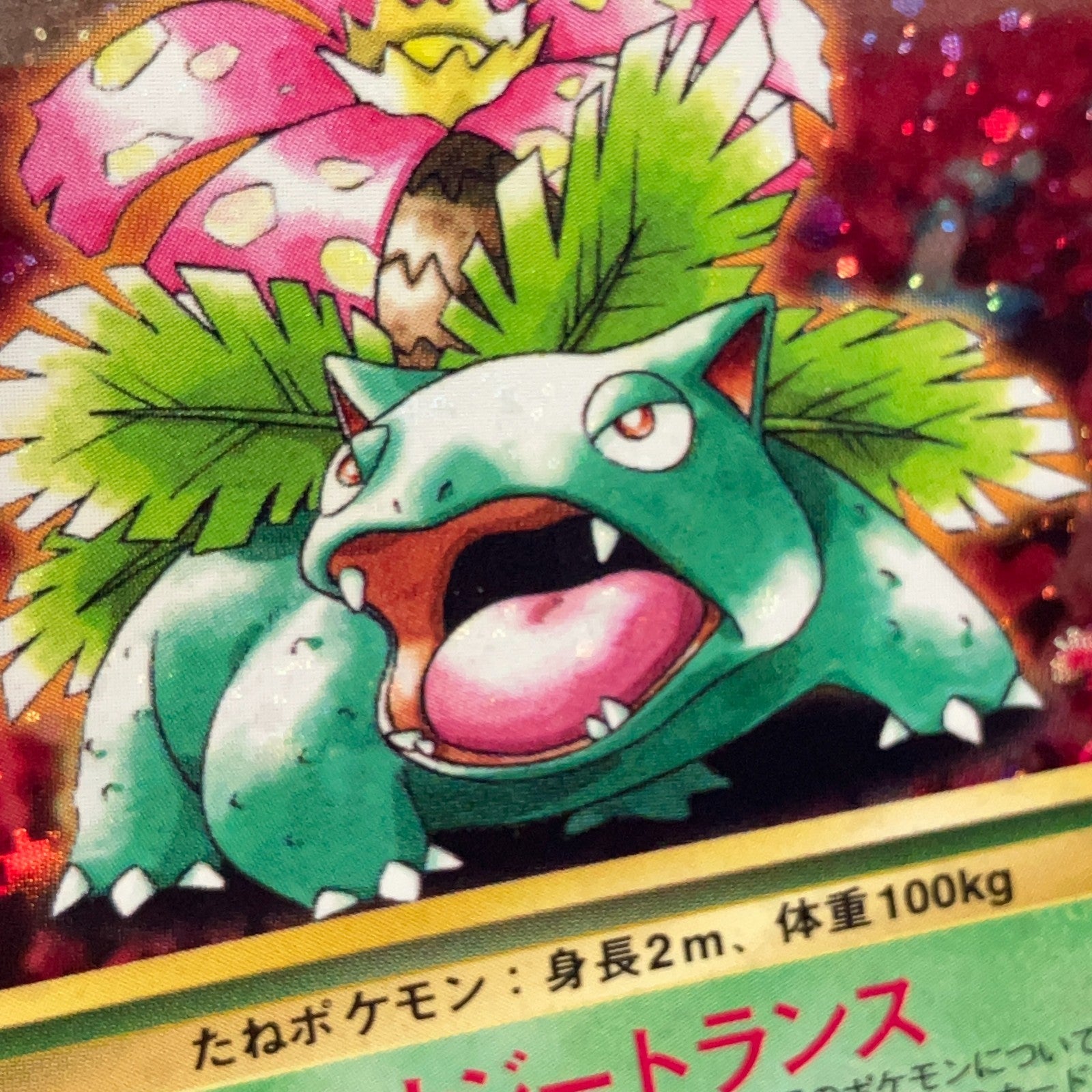 Venusaur No.003 Intro Pack Bulbasaur Deck Holo Bleed LP Japanese Pokemon Card