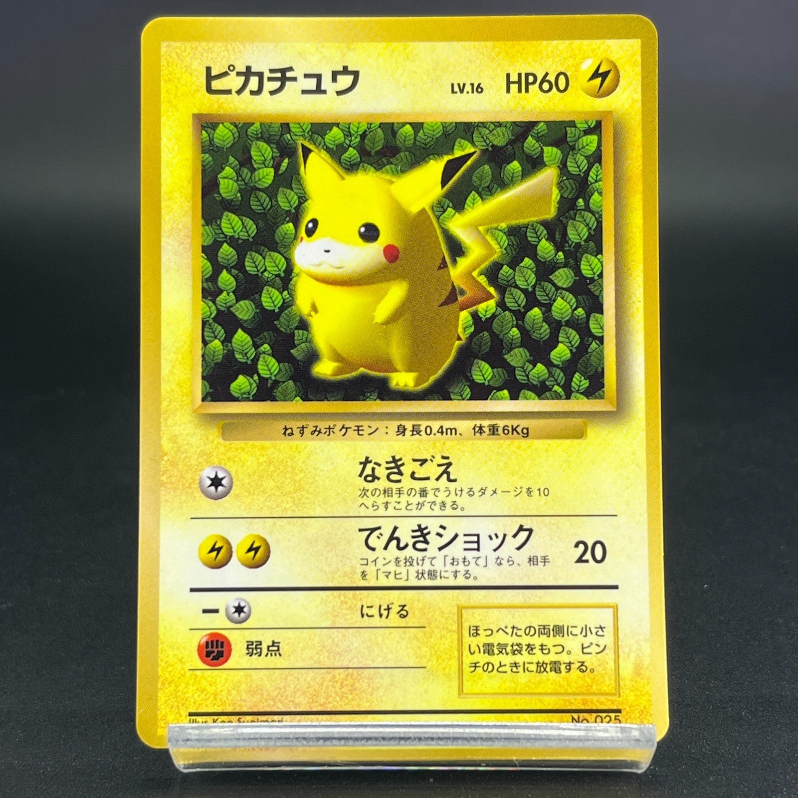3Card Ivy Pikachu No.025 Corocoro Comics Promo Glossy MP Japanese Pokemon Card