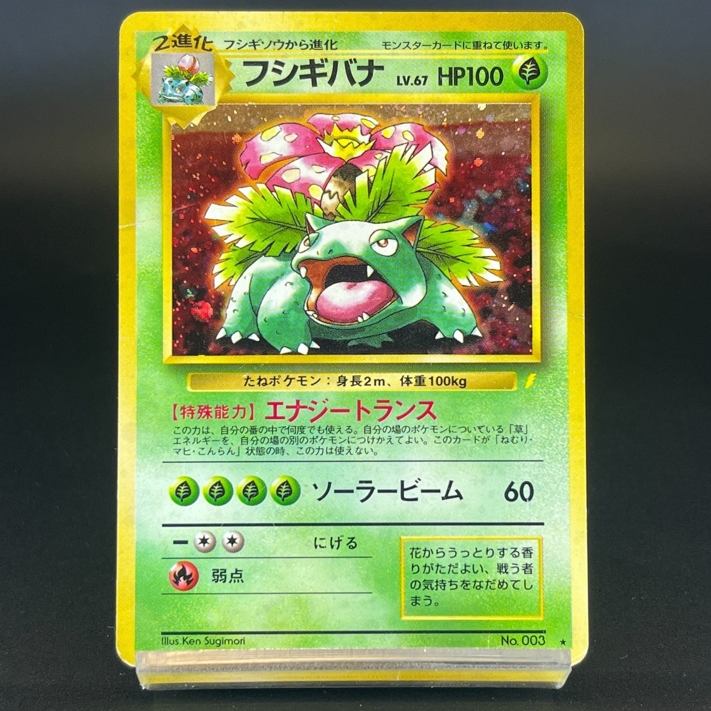 Blastoise Venusarur CD Promo Holo 1999 HP Japanese Pokemon Card S0076