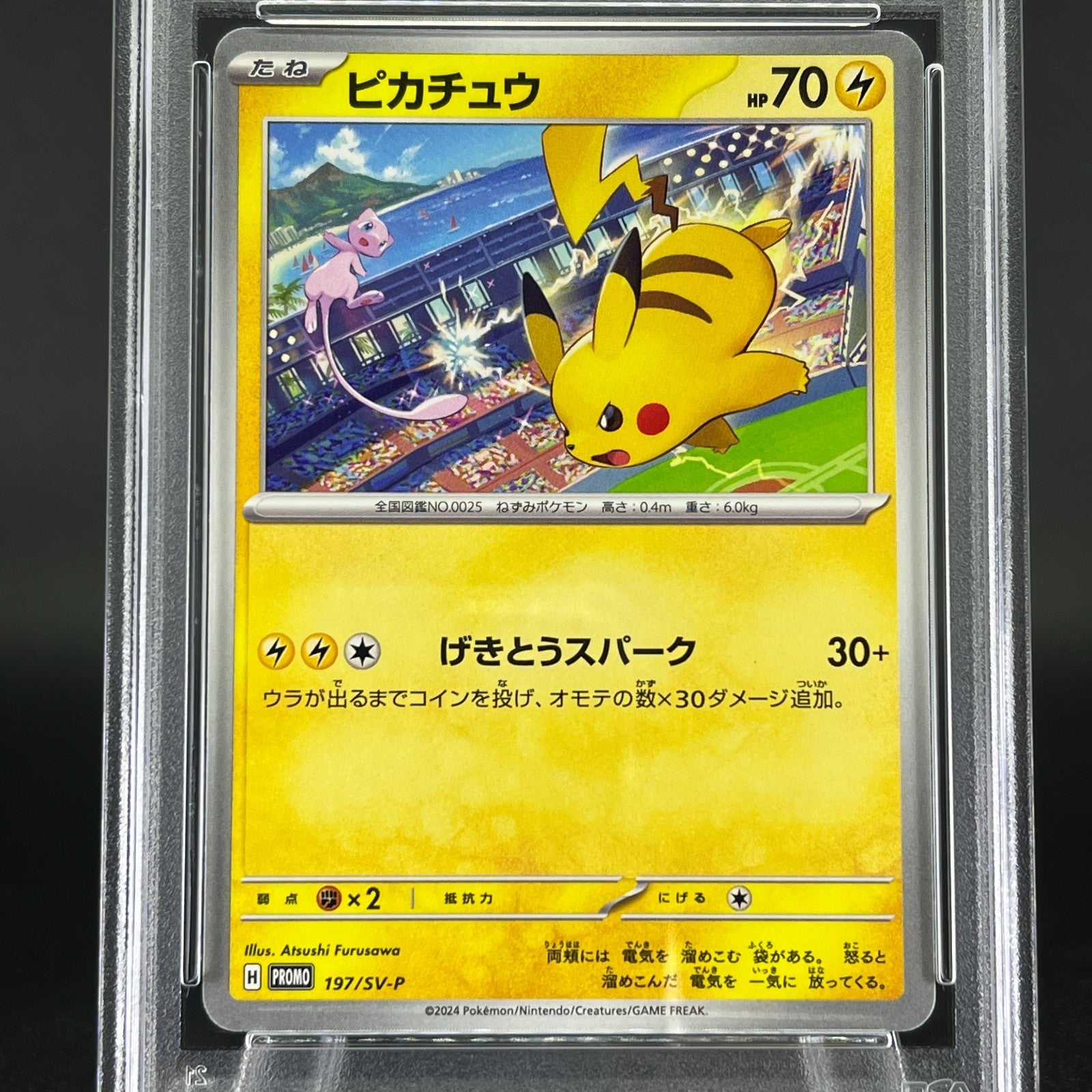 ポケモンカードゲーム 2023/2024 PIKACHU GYM EVENT PSA10 PSA 10 Pikachu 197/SV-P Gym Event WCS 2024 Promo Pokemon