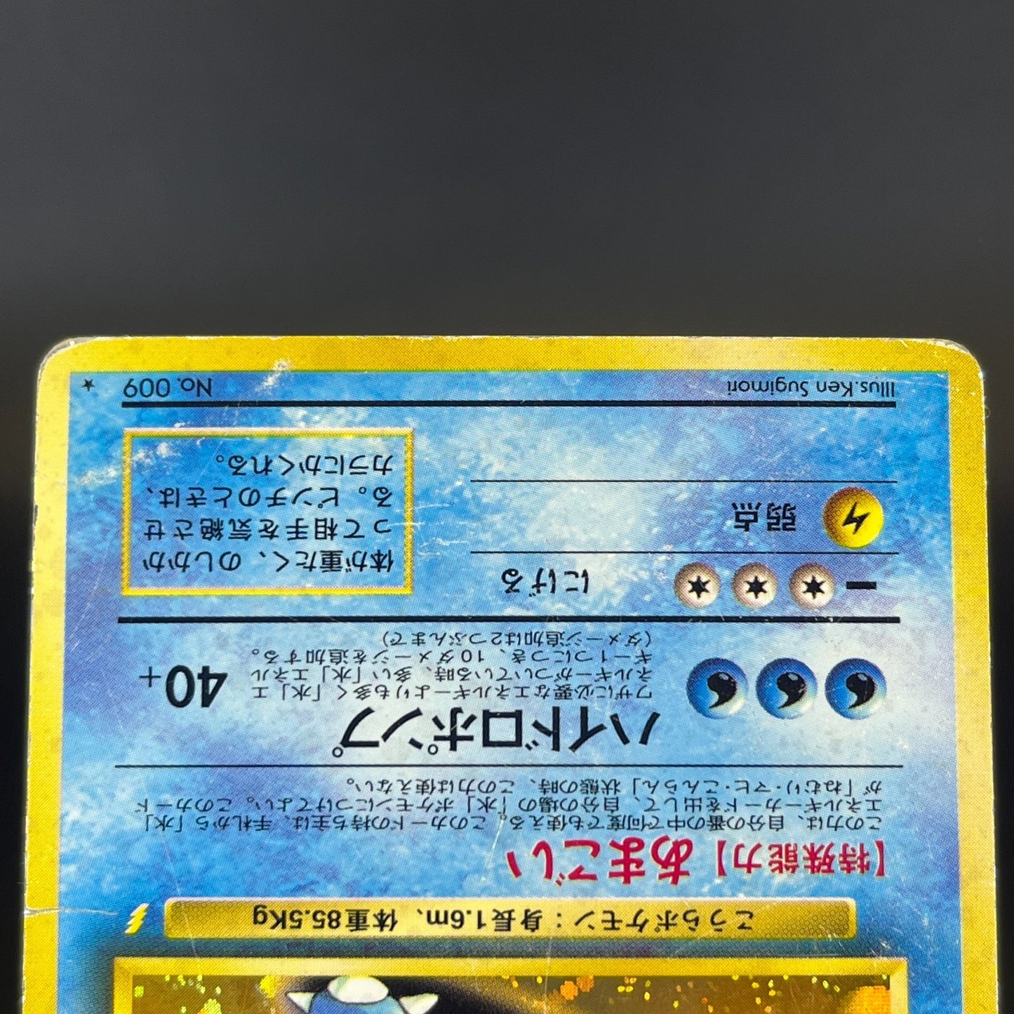 Blastoise Venusarur CD Promo Holo 1999 HP Japanese Pokemon Card S0076