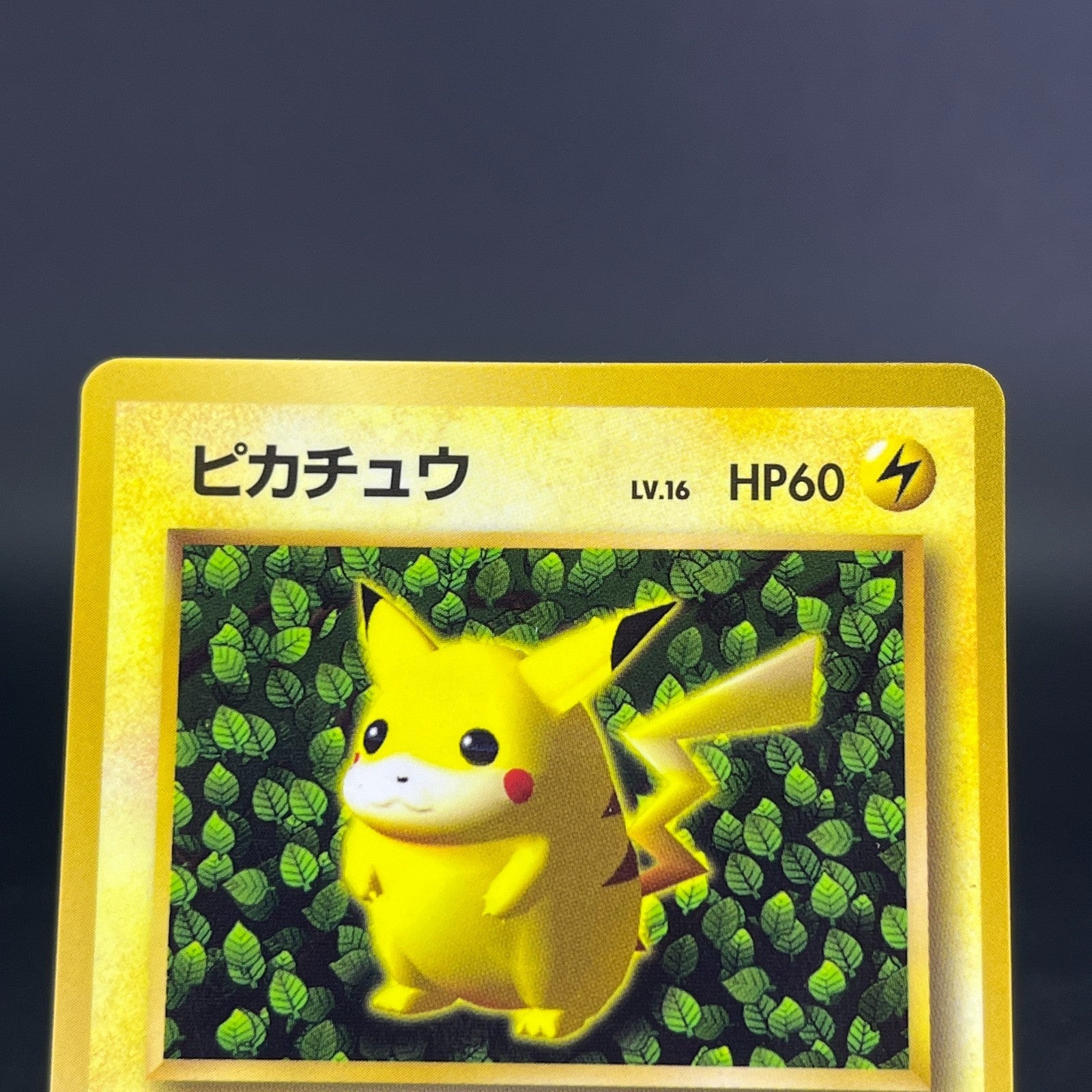 3Card Ivy Pikachu No.025 Corocoro Comics Promo Glossy MP Japanese Pokemon Card