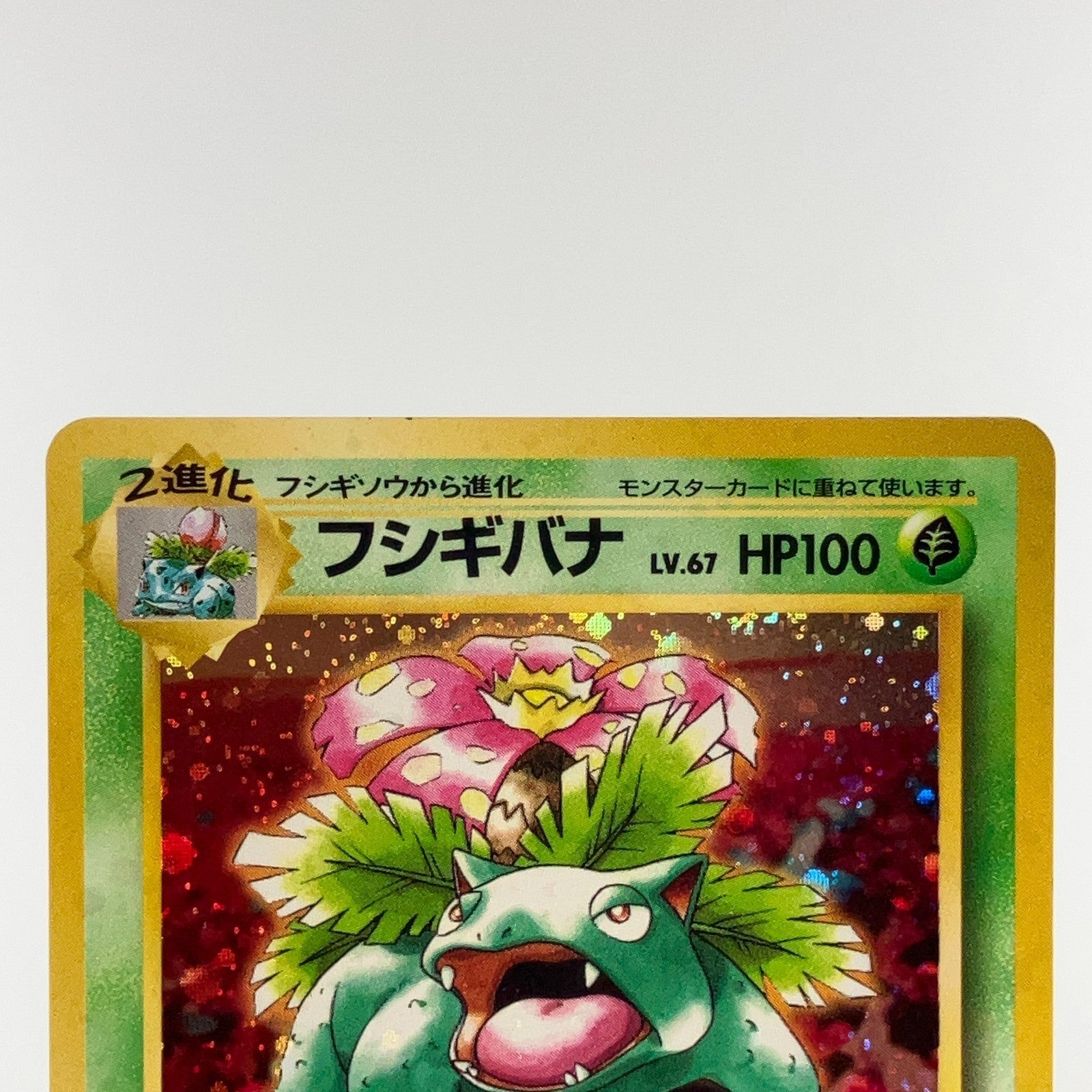 Venusaur No.003 Intro Pack Bulbasaur Deck Holo Bleed LP Japanese Pokemon Card