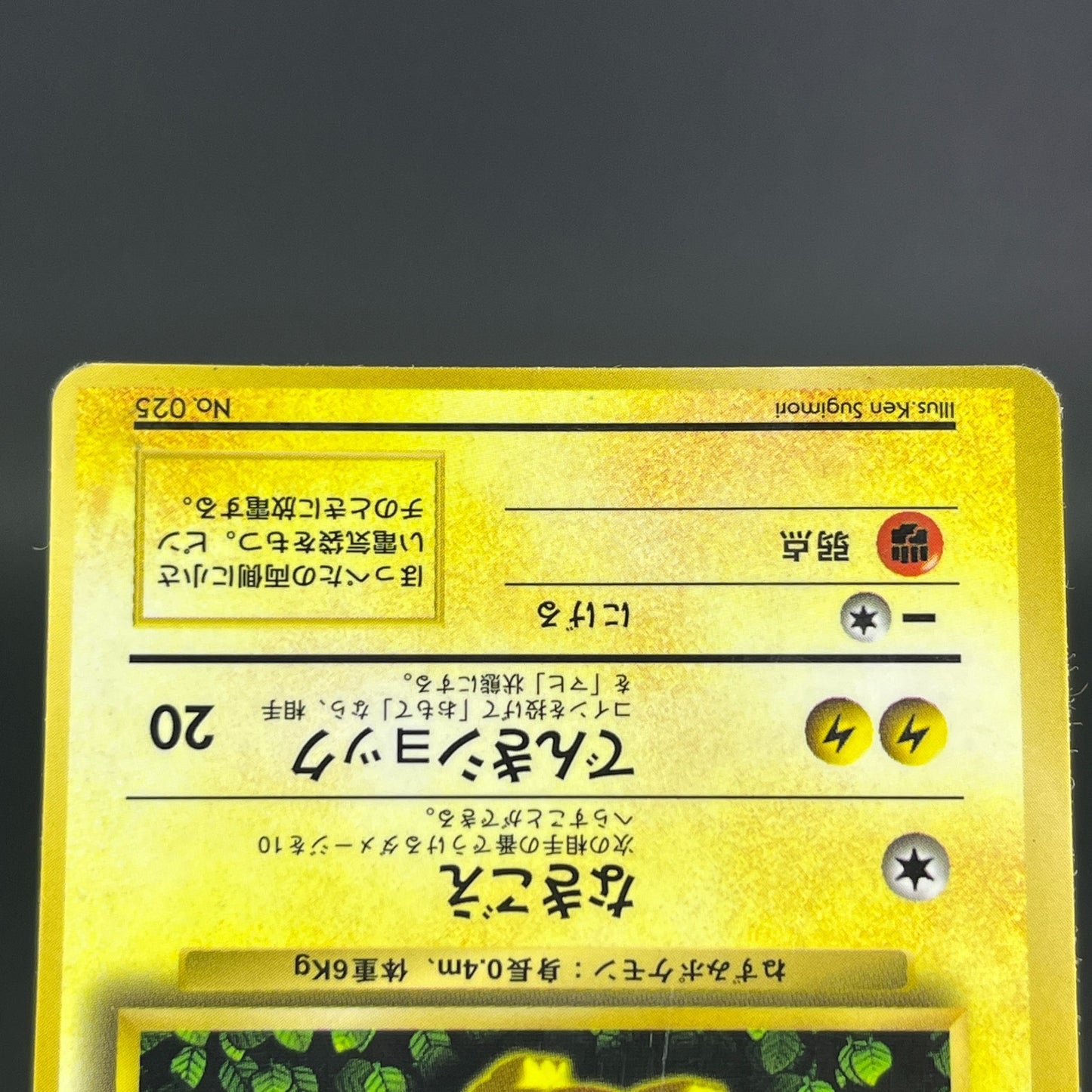 3Card Ivy Pikachu No.025 Corocoro Comics Promo Glossy MP Japanese Pokemon Card