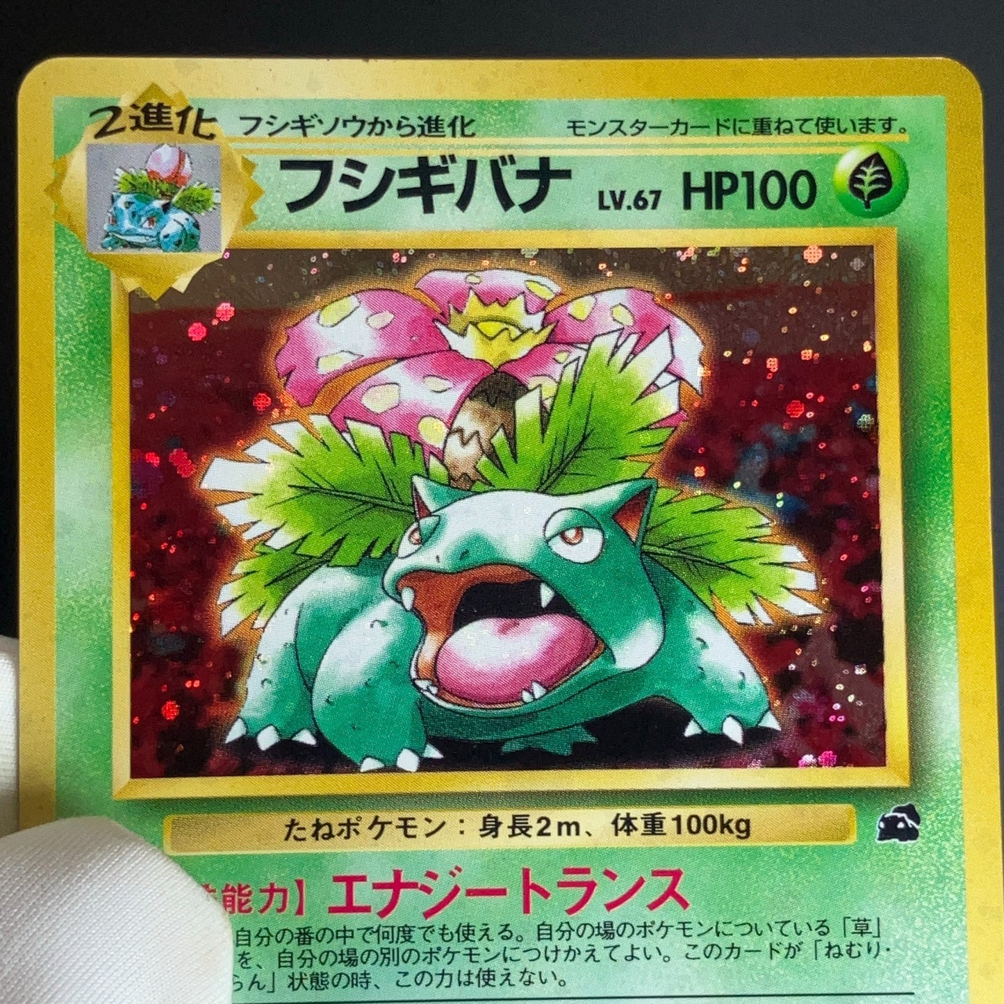 Venusaur No.003 Intro Pack Bulbasaur Deck Holo Bleed LP Japanese Pokemon Card