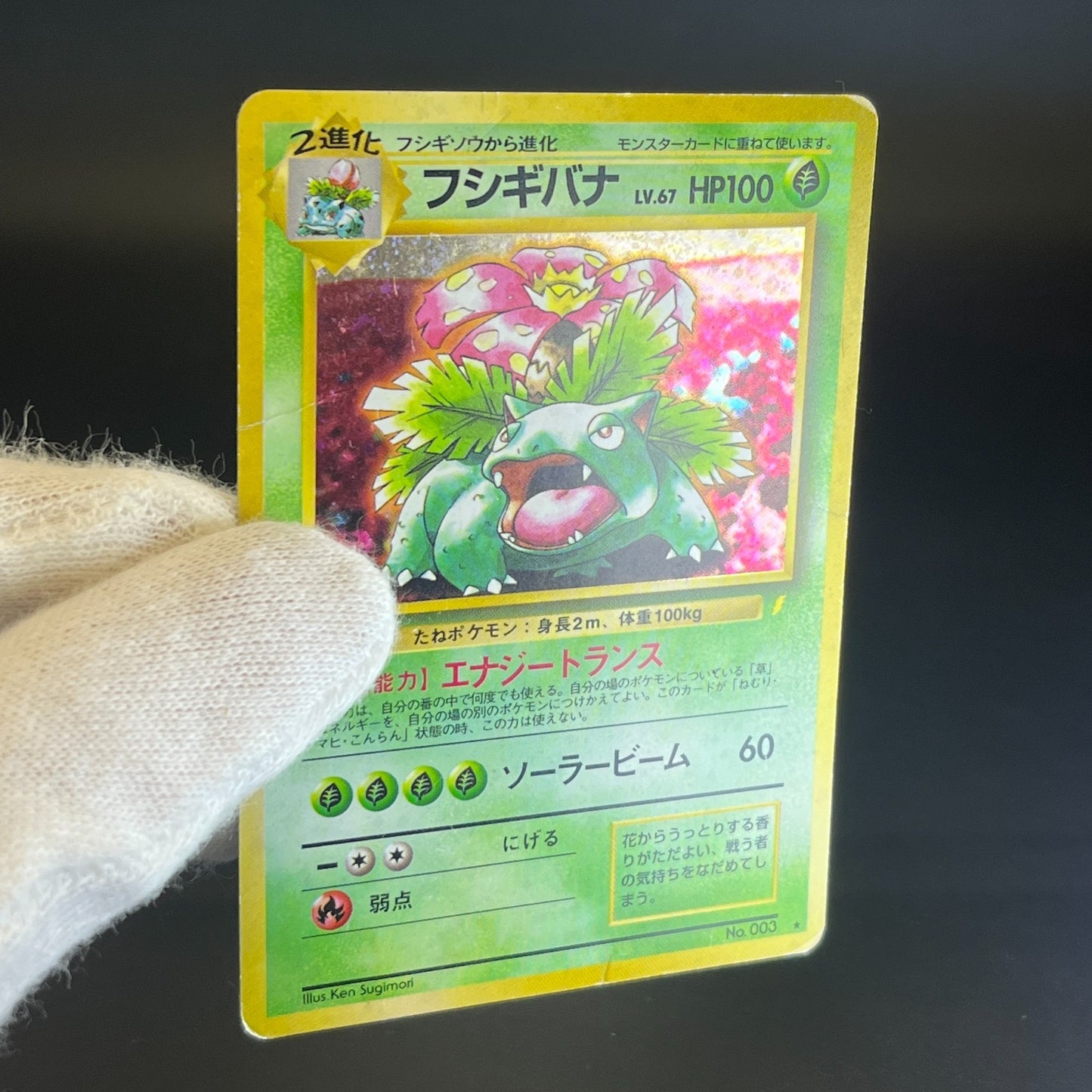 Blastoise Venusarur CD Promo Holo 1999 HP Japanese Pokemon Card S0076