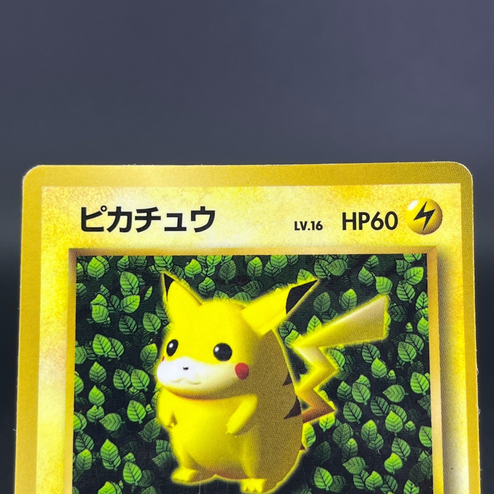 3Card Ivy Pikachu No.025 Corocoro Comics Promo Glossy MP Japanese Pokemon Card