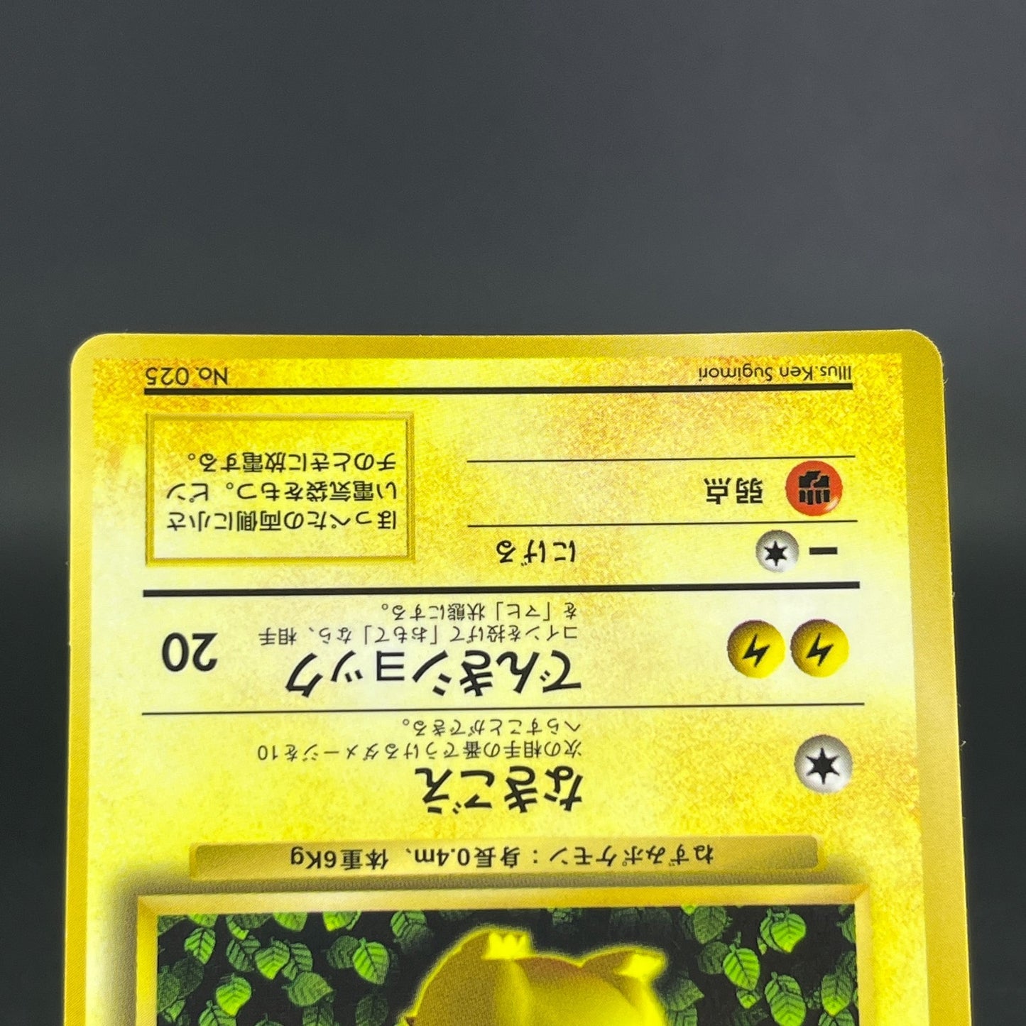 3Card Ivy Pikachu No.025 Corocoro Comics Promo Glossy MP Japanese Pokemon Card