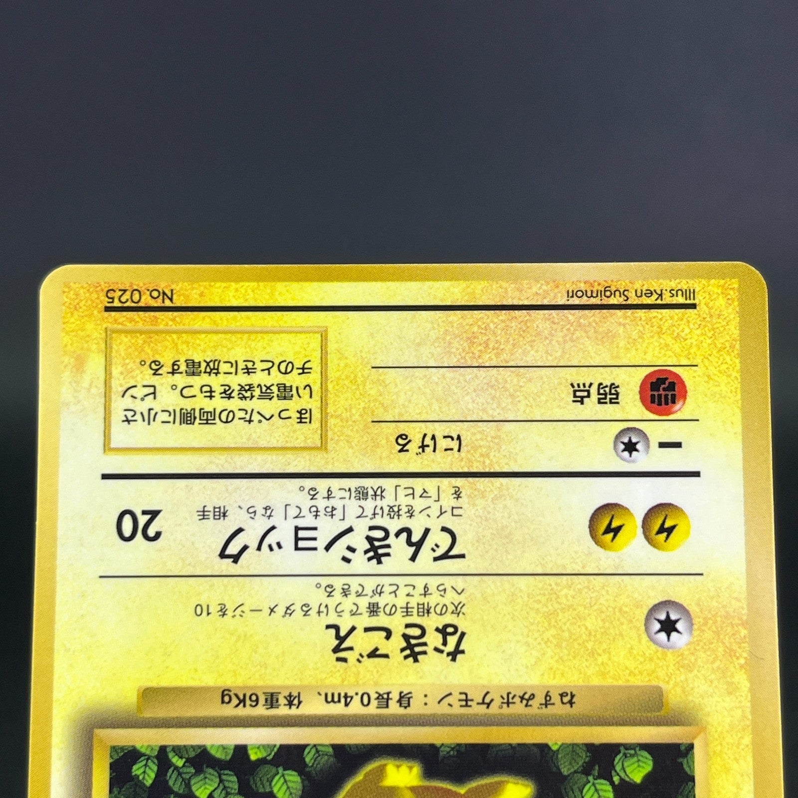 3Card Ivy Pikachu No.025 Corocoro Comics Promo Glossy MP Japanese Pokemon Card